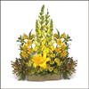 Blooms of Spring - Click here to View more details about this Product