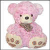 In My Heart - Teddy