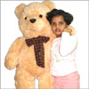 Big  soft and cuddly Bear PNP 5008 - Click here to View more details about this Product
