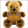 Brown Teddy - 30 cm  - PNP 766 - Click here to View more details about this Product