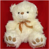 Cuddly Teddy - PPP 5009  -  Medium    30cms - Click here to View more details about this Product