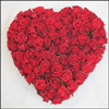 Heart full of love