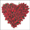 Big Hug - Click here to View more details about this Product