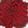 The Princess - Click here to View more details about this Product