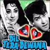 Dil Tera Diwana - Click here to View more details about this Product