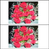 Rose Radiance - Click here to View more details about this Product