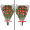 Expression of Love - Click here to View more details about this Product