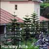 Horsley Trip - Click here to View more details about this Product