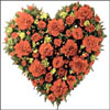 Floral Stimulation - Click here to View more details about this Product