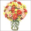 Bountiful Garden - Click here to View more details about this Product