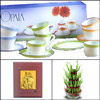 Divine Treasure - Click here to View more details about this Product