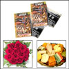 Bright Surprise - Click here to View more details about this Product
