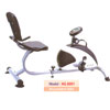 Recumbent Bike(Model No  - HG 6001) - Click here to View more details about this Product