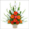 Friendship Day  - Basket of Gerbera Daisies - Click here to View more details about this Product