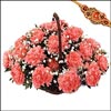 Rakhi with Flower Basket - Click here to View more details about this Product