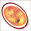 Special Fish Curry   - 2 Plates - Click here to View more details about this Product