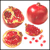 Pomegranates - 12 nos - Click here to View more details about this Product