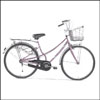 BSA Lady Bird  LX26  For Girls ( Neon Silver ) - Click here to View more details about this Product