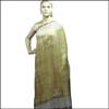 Double Colour  Fancy George Embroidery Saree-ACS-35 - Click here to View more details about this Product
