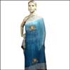 Double Colour  Fancy George Embroidery Saree-ACS-33 - Click here to View more details about this Product