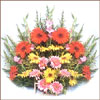 Seasons Wish - Click here to View more details about this Product