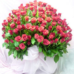 "Stunning Touch - Click here to View more details about this Product