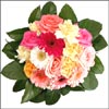 Simply The Best - Click here to View more details about this Product
