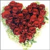 Paradise Beauty - Click here to View more details about this Product