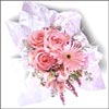 Pink Spring - Click here to View more details about this Product