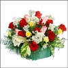 Best of The Best - Click here to View more details about this Product