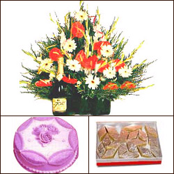 Order Now