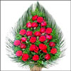 Stunning Beauty - Click here to View more details about this Product