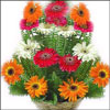 Fabulous Moments - Click here to View more details about this Product