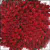 Have a Great Day - Click here to View more details about this Product