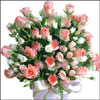 Floral Rainbow - Click here to View more details about this Product