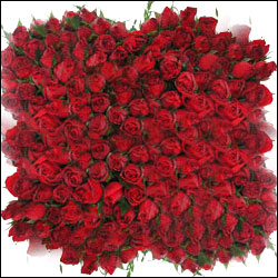 Order Now