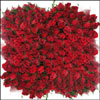 Royal Wish - Click here to View more details about this Product