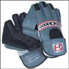 SG World Cup Wicket Keeping Gloves - Click here to View more details about this Product