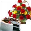 Just for U Dad - Click here to View more details about this Product