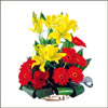 Love N Emotions - Click here to View more details about this Product