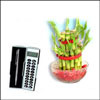 Sanctified Expression - Click here to View more details about this Product