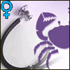 Cancer Health Check for Women - Click here to View more details about this Product