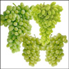 Seedless Green Grapes  4 KG - Click here to View more details about this Product