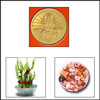 Divine Heart - Click here to View more details about this Product