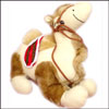 Camel - Click here to View more details about this Product