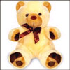 Chocolate Teddy - 24 cm - PNP 766 - Click here to View more details about this Product