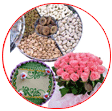 Special Hampers