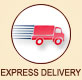 EXPRSS DELIVERY