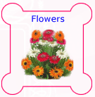 Send Rakhi Gifts to India