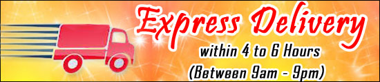 Express Delivery